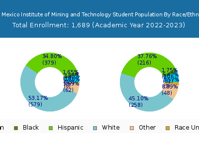 New Mexico Institute of Mining and Technology 2023 Student Population by Gender and Race chart