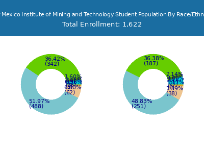 New Mexico Institute of Mining and Technology 2025 Student Population by Gender and Race chart