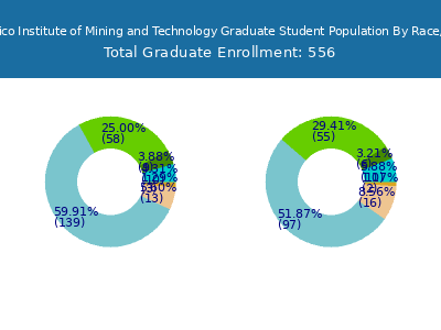 New Mexico Institute of Mining and Technology 2025 Graduate Enrollment by Gender and Race chart