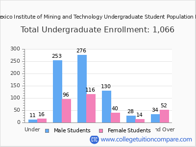 New Mexico Institute of Mining and Technology 2025 Undergraduate Enrollment by Age chart