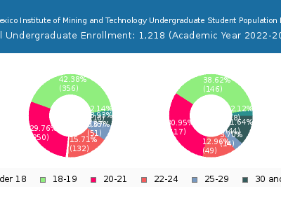 New Mexico Institute of Mining and Technology 2023 Undergraduate Enrollment Age Diversity Pie chart