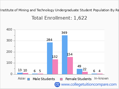 New Mexico Institute of Mining and Technology 2025 Undergraduate Enrollment by Gender and Race chart