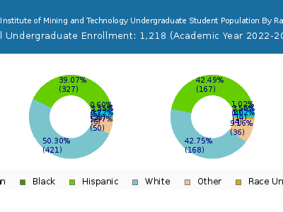 New Mexico Institute of Mining and Technology 2023 Undergraduate Enrollment by Gender and Race chart