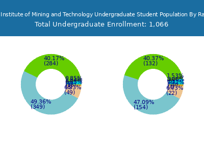 New Mexico Institute of Mining and Technology 2025 Undergraduate Enrollment by Gender and Race chart