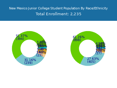 New Mexico Junior College 2025 Student Population by Gender and Race chart