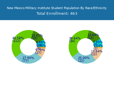 New Mexico Military Institute 2025 Student Population by Gender and Race chart