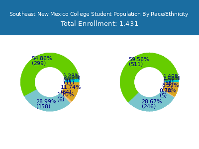 Southeast New Mexico College 2025 Student Population by Gender and Race chart