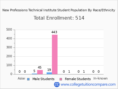 New Professions Technical Institute 2025 Student Population by Gender and Race chart