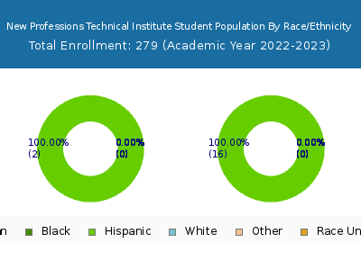 New Professions Technical Institute 2023 Student Population by Gender and Race chart
