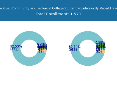 New River Community and Technical College 2025 Student Population by Gender and Race chart