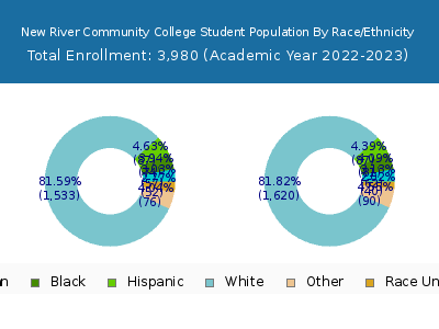 New River Community College 2023 Student Population by Gender and Race chart