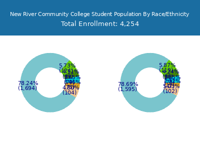 New River Community College 2025 Student Population by Gender and Race chart