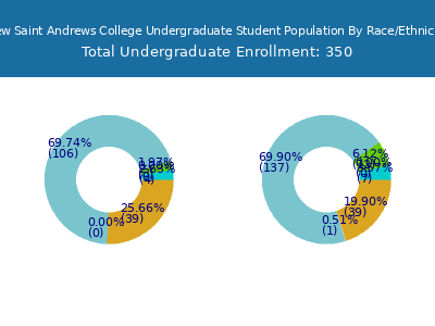 New Saint Andrews College 2025 Undergraduate Enrollment by Gender and Race chart