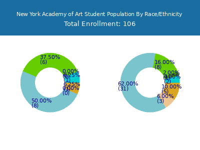 New York Academy of Art 2025 Student Population by Gender and Race chart