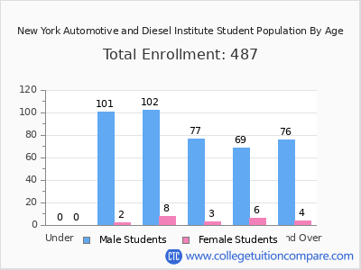 New York Automotive and Diesel Institute 2024 Student Population by Age chart