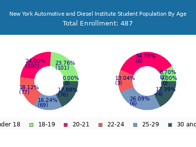 New York Automotive and Diesel Institute 2024 Student Population Age Diversity Pie chart