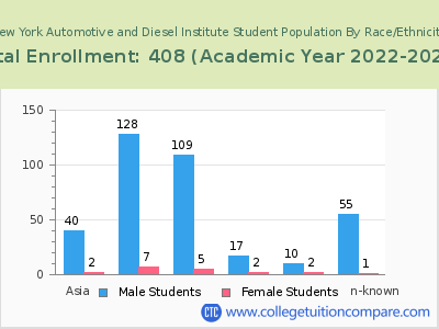 New York Automotive and Diesel Institute 2023 Student Population by Gender and Race chart
