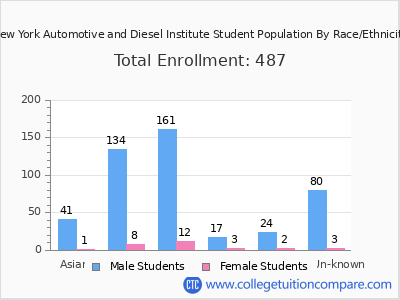 New York Automotive and Diesel Institute 2025 Student Population by Gender and Race chart