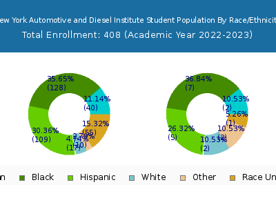 New York Automotive and Diesel Institute 2023 Student Population by Gender and Race chart