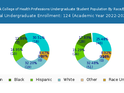New York College of Health Professions 2023 Undergraduate Enrollment by Gender and Race chart