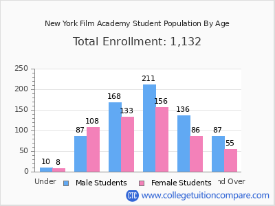 New York Film Academy 2024 Student Population by Age chart