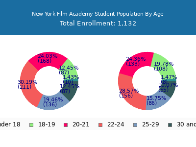 New York Film Academy 2024 Student Population Age Diversity Pie chart