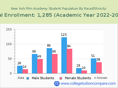 New York Film Academy 2023 Student Population by Gender and Race chart