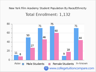 New York Film Academy 2025 Student Population by Gender and Race chart