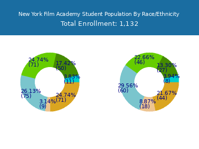 New York Film Academy 2025 Student Population by Gender and Race chart