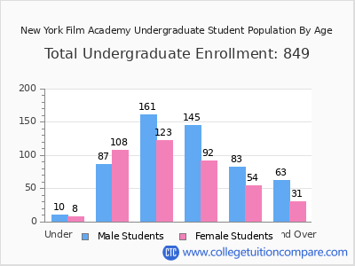 New York Film Academy 2024 Undergraduate Enrollment by Age chart