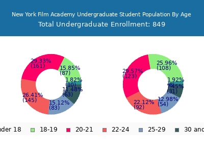 New York Film Academy 2024 Undergraduate Enrollment Age Diversity Pie chart