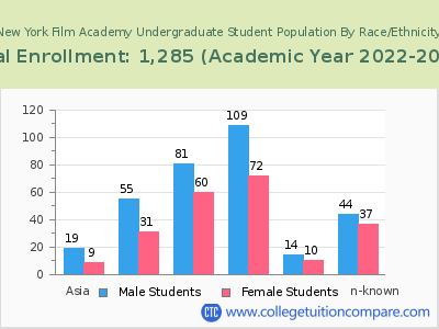 New York Film Academy 2023 Undergraduate Enrollment by Gender and Race chart