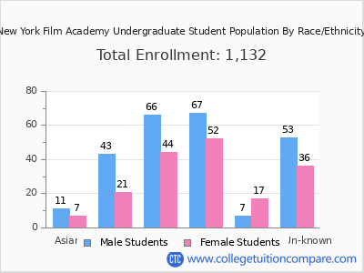 New York Film Academy 2025 Undergraduate Enrollment by Gender and Race chart