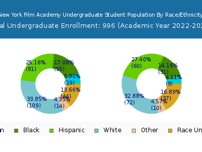 New York Film Academy 2023 Undergraduate Enrollment by Gender and Race chart
