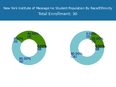 New York Institute of Massage Inc 2025 Student Population by Gender and Race chart