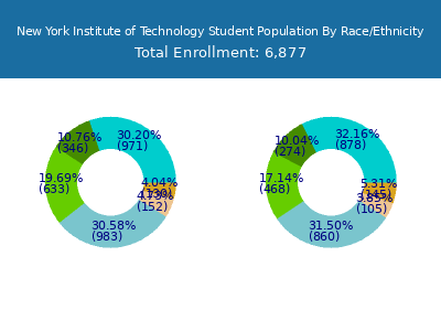 New York Institute of Technology 2025 Student Population by Gender and Race chart