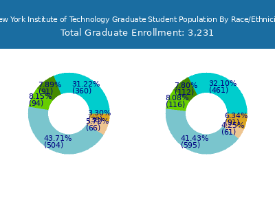 New York Institute of Technology 2025 Graduate Enrollment by Gender and Race chart