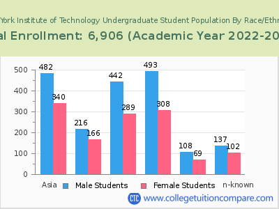 New York Institute of Technology 2023 Undergraduate Enrollment by Gender and Race chart