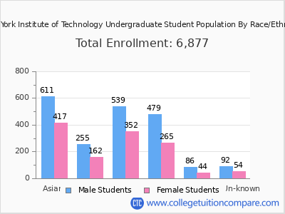 New York Institute of Technology 2025 Undergraduate Enrollment by Gender and Race chart