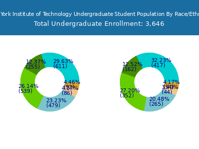 New York Institute of Technology 2025 Undergraduate Enrollment by Gender and Race chart