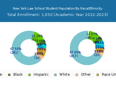 New York Law School 2023 Student Population by Gender and Race chart