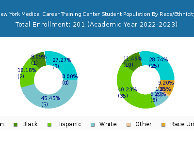 New York Medical Career Training Center 2023 Student Population by Gender and Race chart