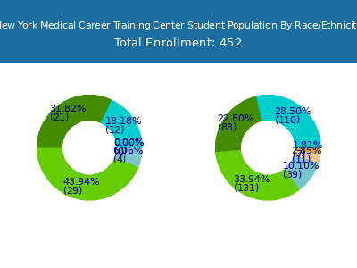 New York Medical Career Training Center 2025 Student Population by Gender and Race chart