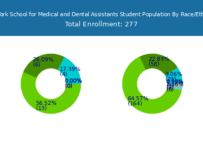 New York School for Medical and Dental Assistants 2025 Student Population by Gender and Race chart