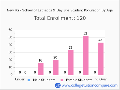 New York School of Esthetics & Day Spa 2024 Student Population by Age chart