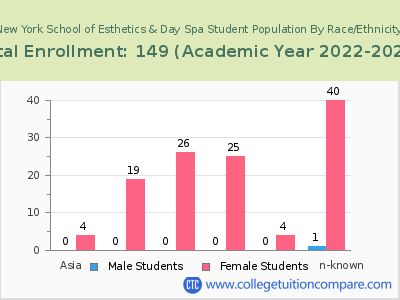 New York School of Esthetics & Day Spa 2023 Student Population by Gender and Race chart