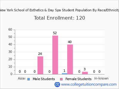 New York School of Esthetics & Day Spa 2025 Student Population by Gender and Race chart