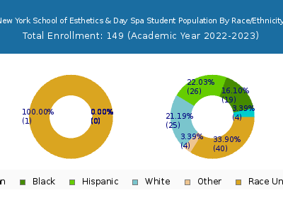 New York School of Esthetics & Day Spa 2023 Student Population by Gender and Race chart