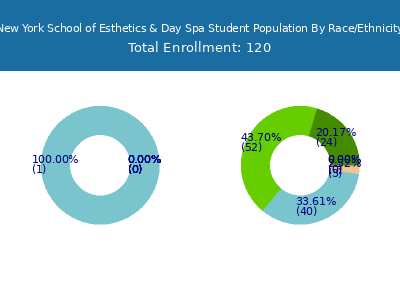 New York School of Esthetics & Day Spa 2025 Student Population by Gender and Race chart