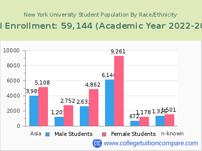 New York University 2023 Student Population by Gender and Race chart